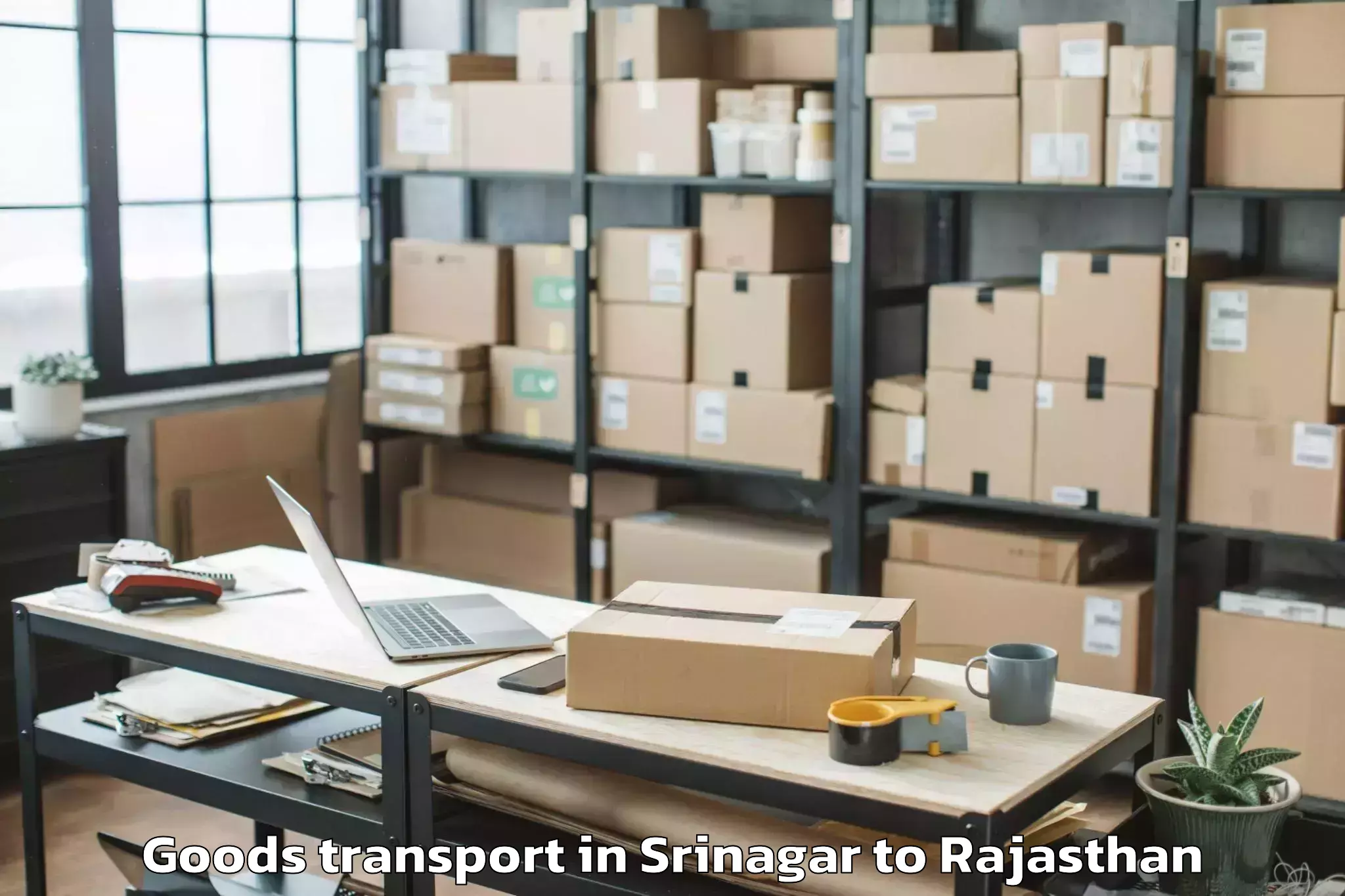 Trusted Srinagar to Mewar University Chittorgarh Goods Transport